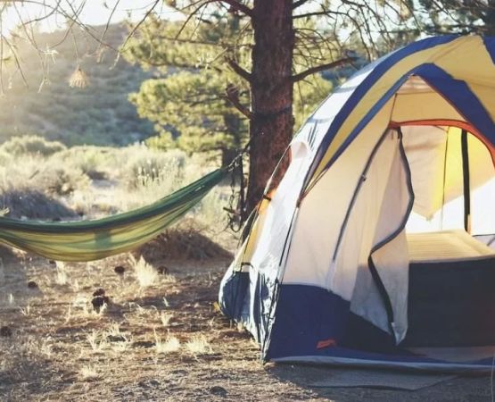Essential Hammock Camping Safety Tips in the USA for a Secure Outdoor Experience