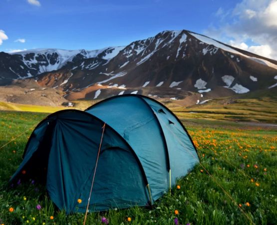 Ultimate Guide to Camping in the Redwoods USA: Tips, Sites, and Gear Recommendations