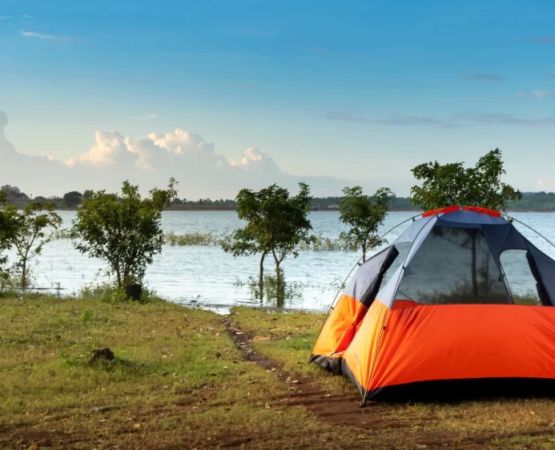 Camping in National Parks USA: The Ultimate Guide to Unforgettable Outdoor Adventures