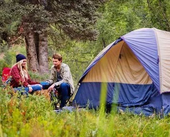 How to Reserve Popular Campsites in the USA: Expert Tips, Real Stories, and Booking Strategies