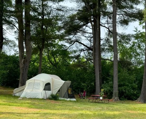 How to Find Campsites for Large Tents USA: A Complete Guide for Spacious Camping