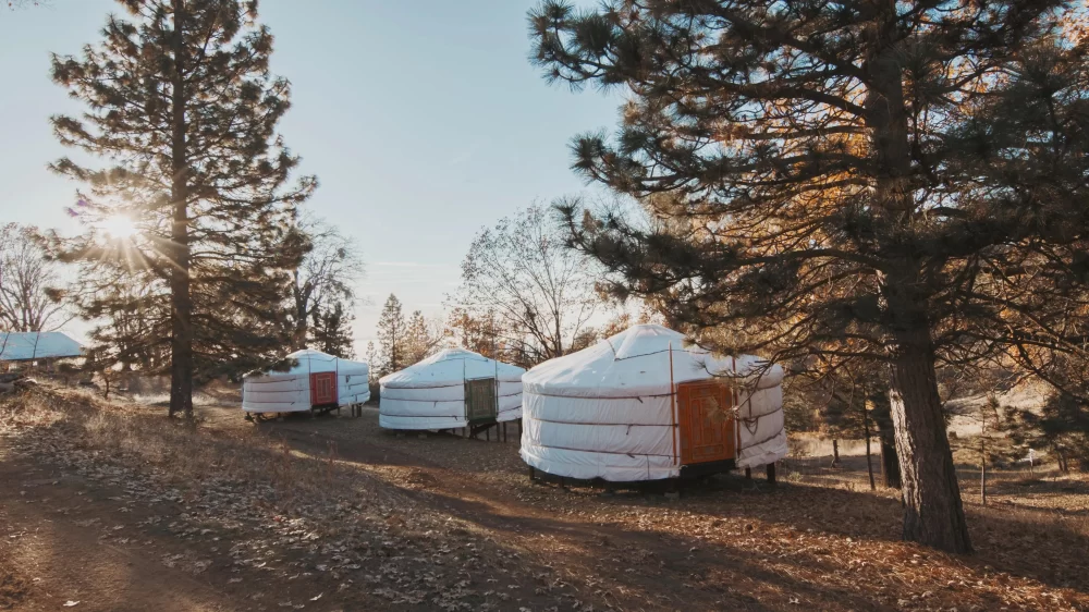 Camping Near Sequoia National Park: Best Spots and Tips for an Unforgettable Outdoor Experience