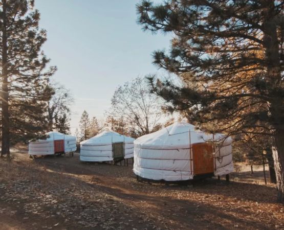 Camping Near Sequoia National Park: Best Spots and Tips for an Unforgettable Outdoor Experience