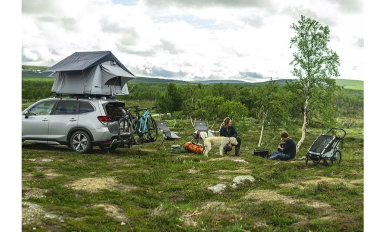 Hiking and Camping for Seniors in the USA: Tips and Destinations for Enjoyable Outdoor Adventures
