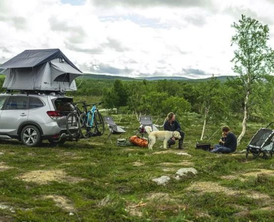 Hiking and Camping for Seniors in the USA: Tips and Destinations for Enjoyable Outdoor Adventures
