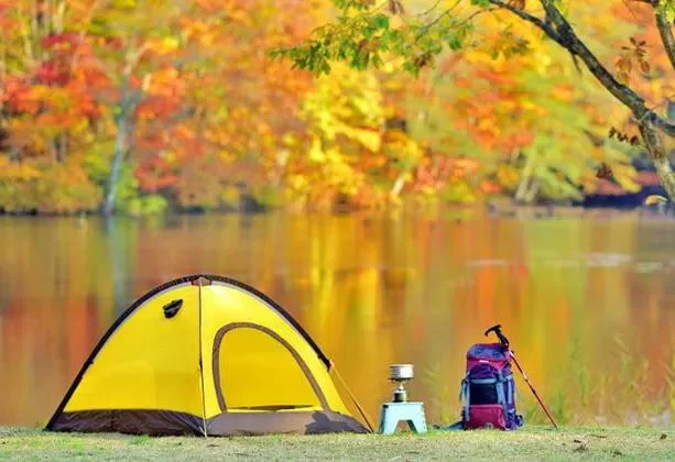 Tips for Avoiding Bugs While Camping in Summer: A Complete Guide