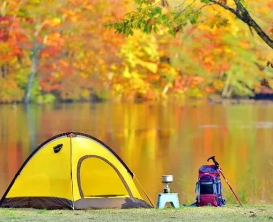 Tips for Avoiding Bugs While Camping in Summer: A Complete Guide