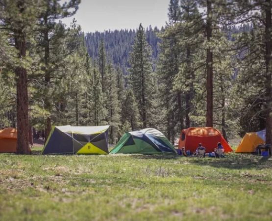 Best Camping Tents for Family Use: Top Picks for Your Next Adventure