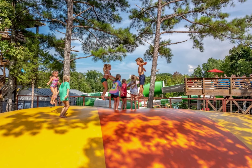 Experience Lakeside Camping with Private Beach Access for Ultimate Relaxation