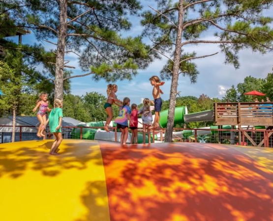 Experience Lakeside Camping with Private Beach Access for Ultimate Relaxation