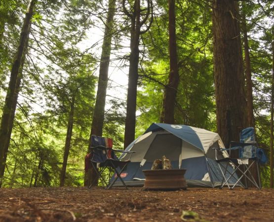 Unforgettable Waterfront Camping Experiences for Outdoor Enthusiasts