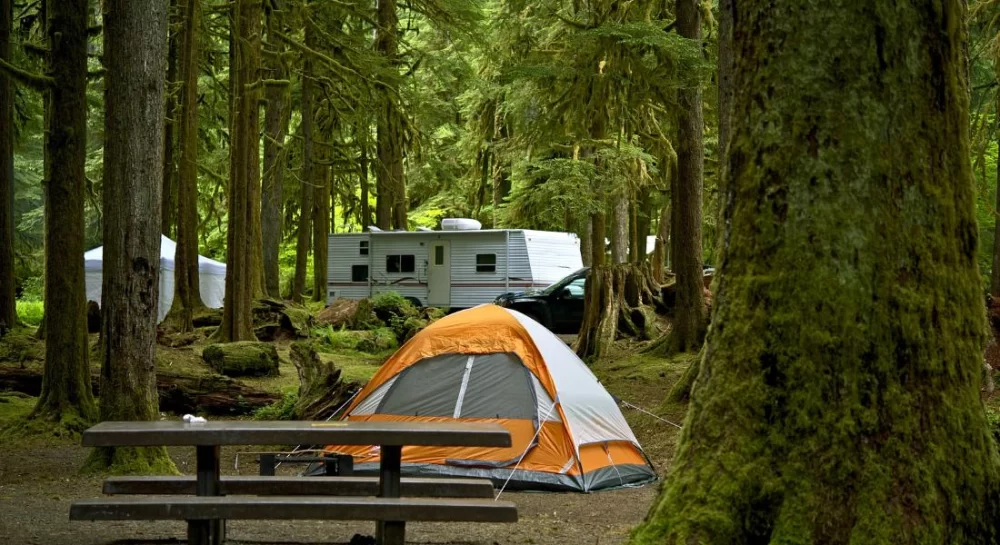 Stunning Waterfront Camping Experiences: The Ultimate Guide to Lakeside Escapes