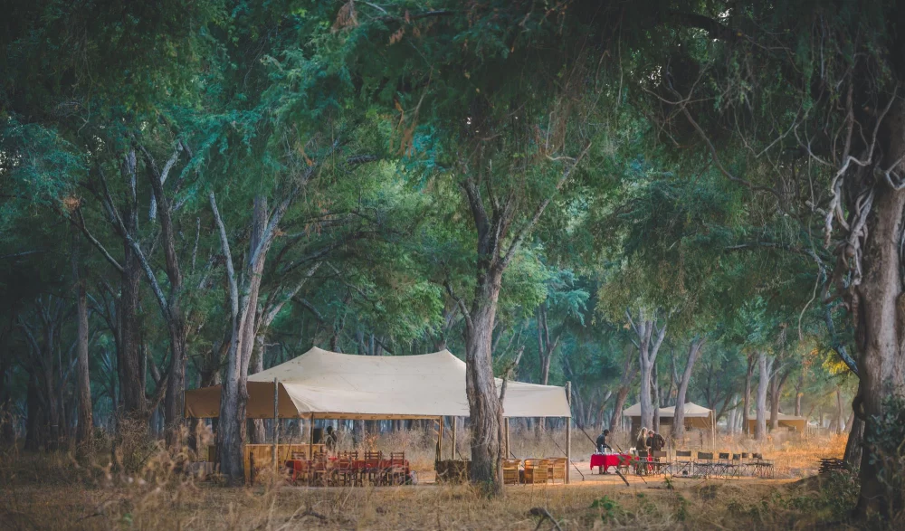Discover Hidden Camping Gems in Nature: Explore Untouched Beauty Beyond the Crowds