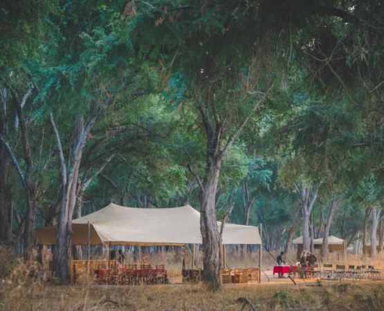 Discover Hidden Camping Gems in Nature: Explore Untouched Beauty Beyond the Crowds