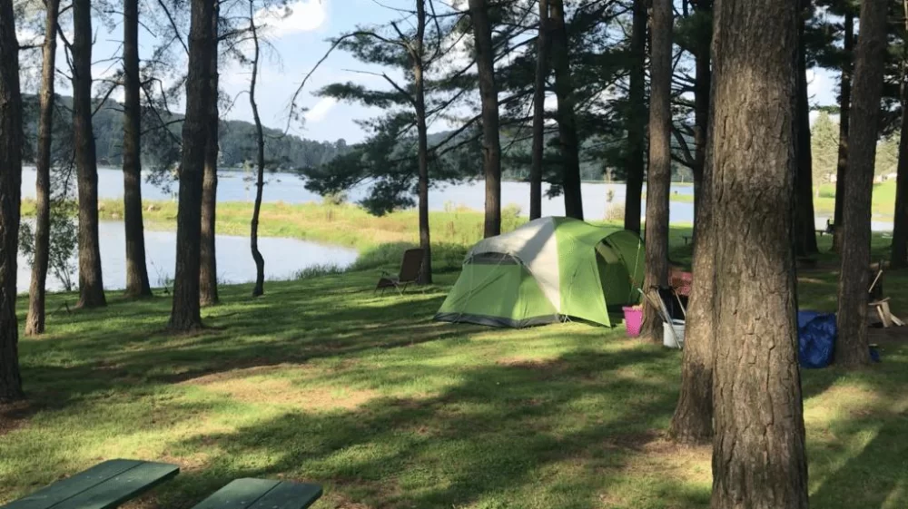 Best Nature Retreats for Family Camping Near Lakes for a Memorable Outdoor Adventure