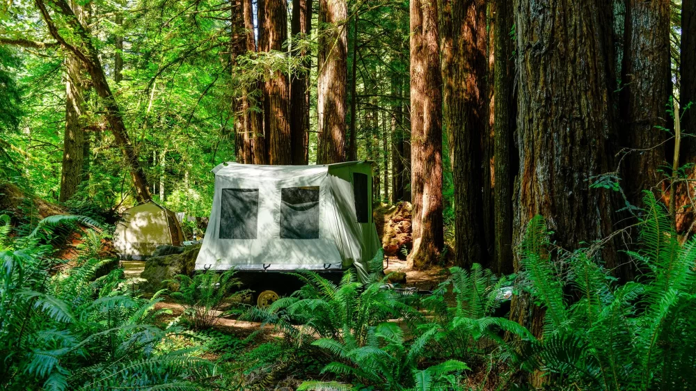 Best Weekend Camping Spots for Nature Lovers