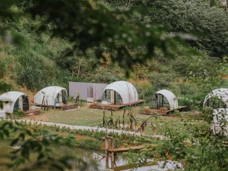 Top Nature Escapes for Camping Enthusiasts: Best Outdoor Retreats