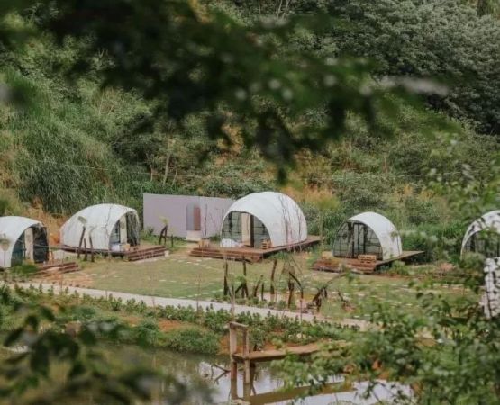 Top Nature Escapes for Camping Enthusiasts: Best Outdoor Retreats