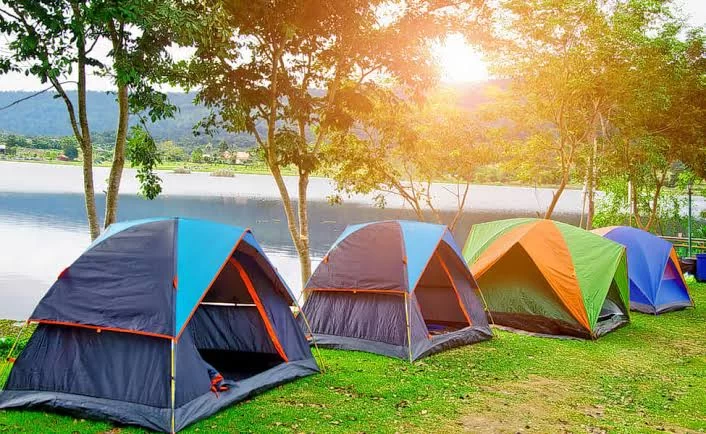 Top Nature Escapes Perfect for Camping Enthusiasts Seeking Adventure and Serenity