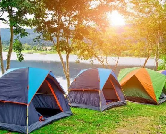 Top Nature Escapes Perfect for Camping Enthusiasts Seeking Adventure and Serenity