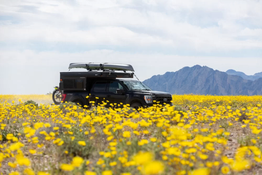 Scenic Mountain Campgrounds for Memorable Summer Vacations