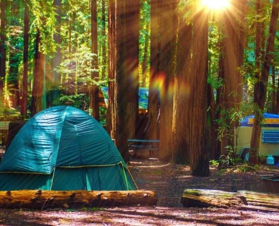 Best Locations for Boat Camping Trips: Discover Top Spots for Your Adventure