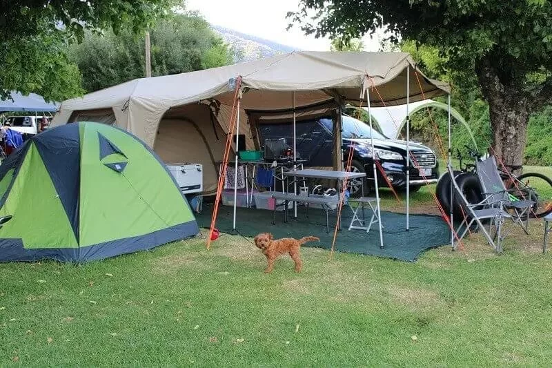 How to Camp Comfortably Without a Tent: Ultimate Guide to Tent-Free Camping