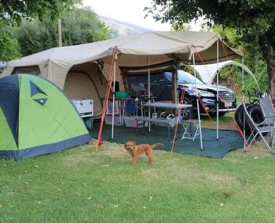 How to Camp Comfortably Without a Tent: Ultimate Guide to Tent-Free Camping
