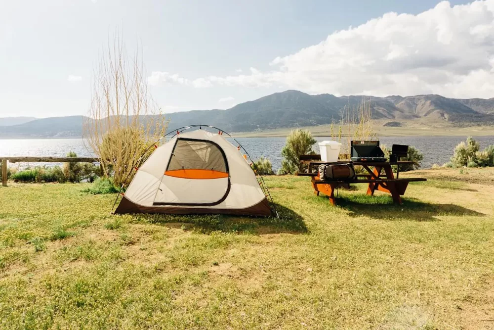 Best Campsites for Camping in the Mojave Desert: Top Spots for Desert Adventures