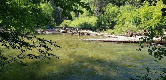 Trout Creek Campground 1