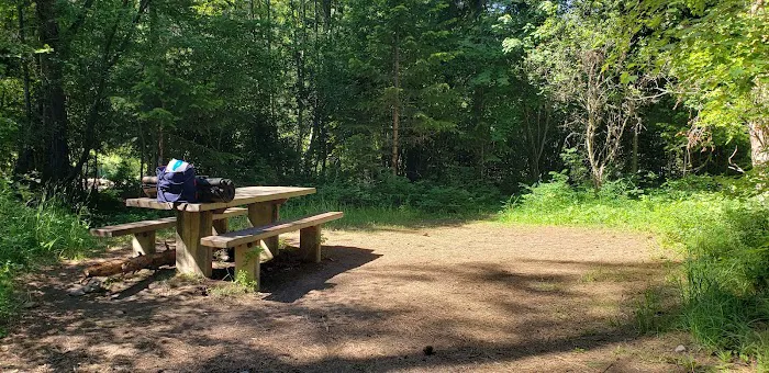 Trout Creek Campground 7