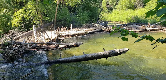 Trout Creek Campground 4
