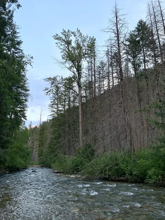 Trout Creek Campground 8