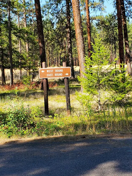 Quartz Flat Campground 3