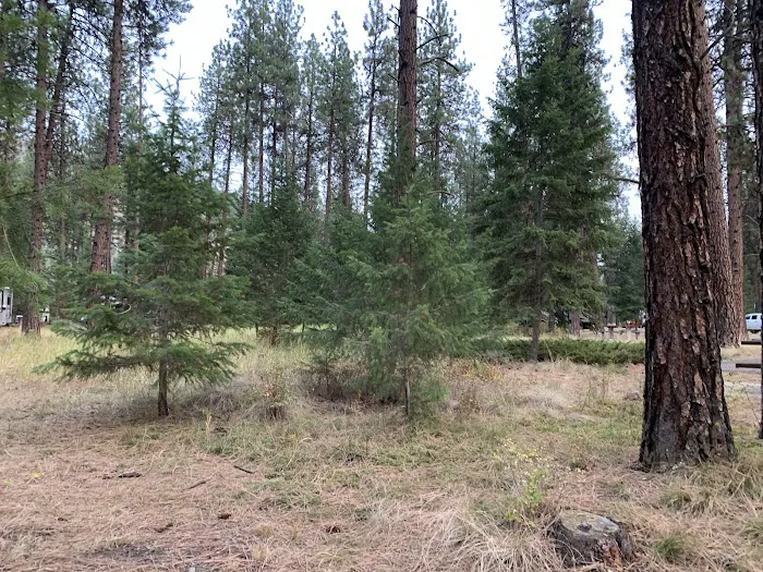 Forest Grove Campground 2