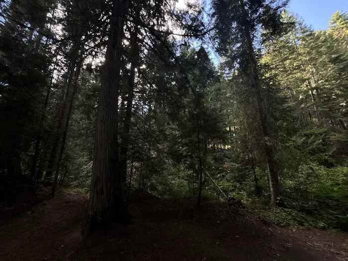 Deer Creek Campground 7