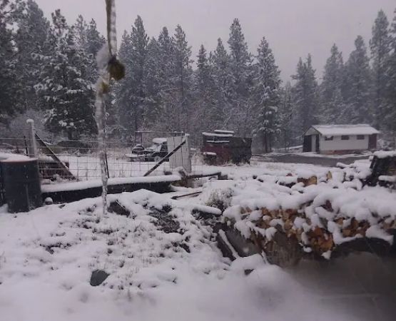 US Forestry Department