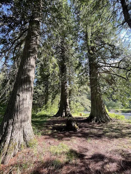Clark Memorial Campground 5