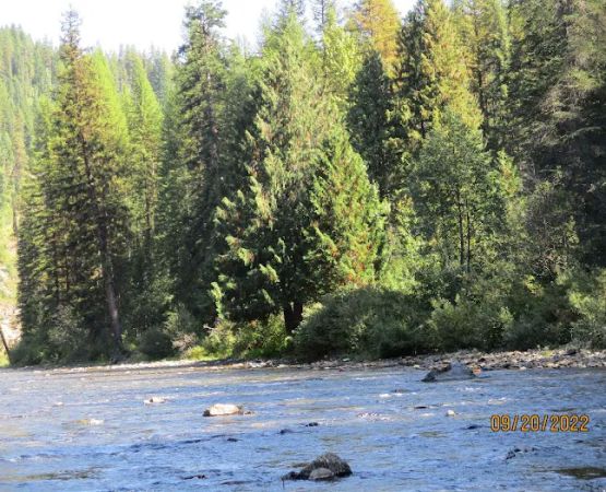Fly Flat Campground