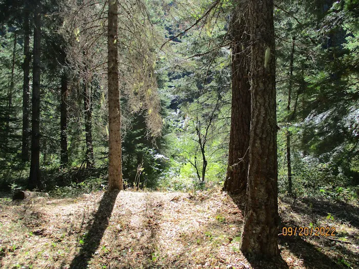 Fly Flat Campground 3
