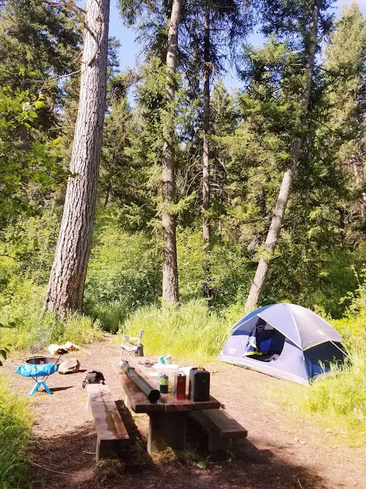 Lolo Creek Campground and Picnic Area 1
