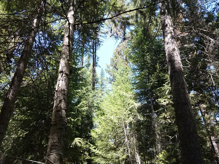 Lolo Creek Campground and Picnic Area 3