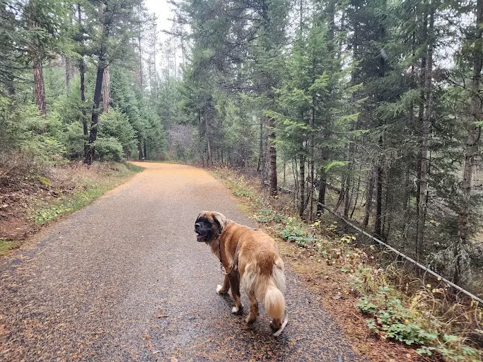 Lolo Creek Campground and Picnic Area 9