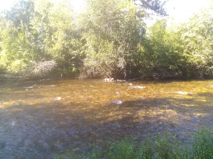 Jocko Hollow Campground 1