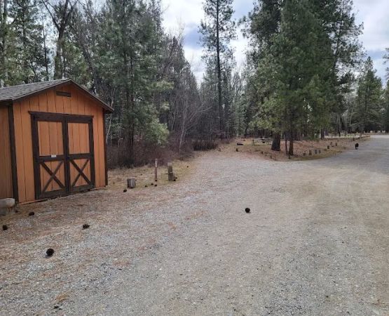 Chief Looking Glass Campground