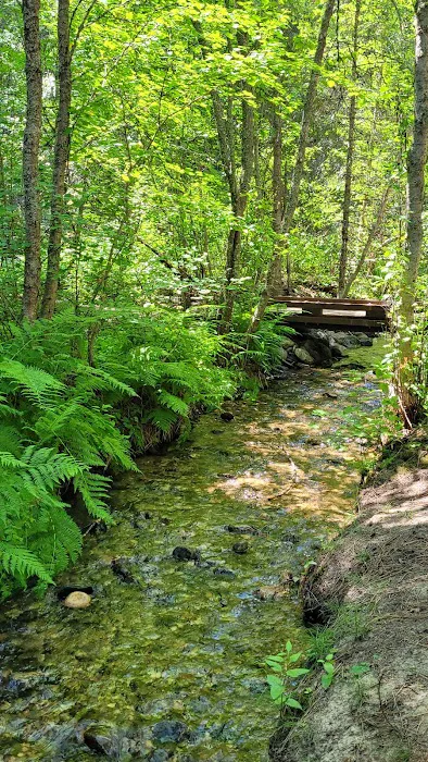 Larry Creek Group Campground 4