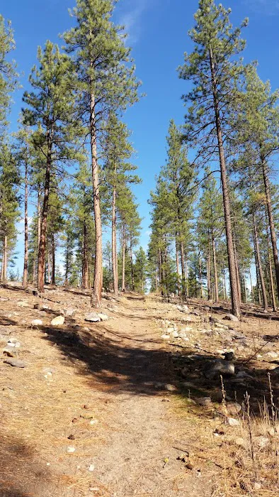 Larry Creek Group Campground 8
