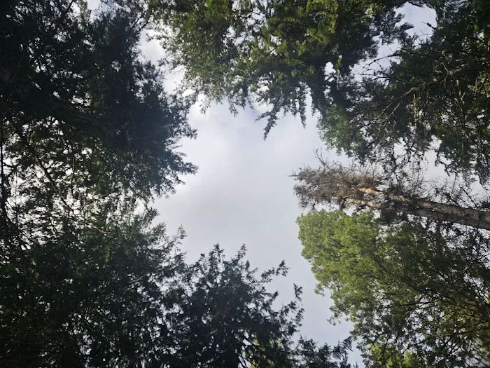 Hereford Restaurant Campground 7