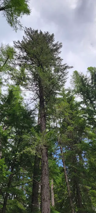 Marten Creek Campground 0