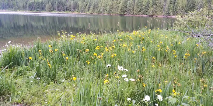 Marten Creek Campground 4